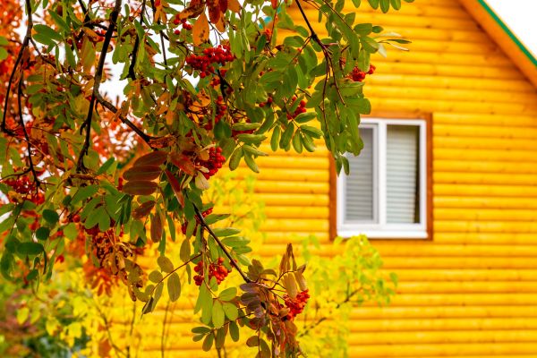 Garden Window Replacement in Missouri City